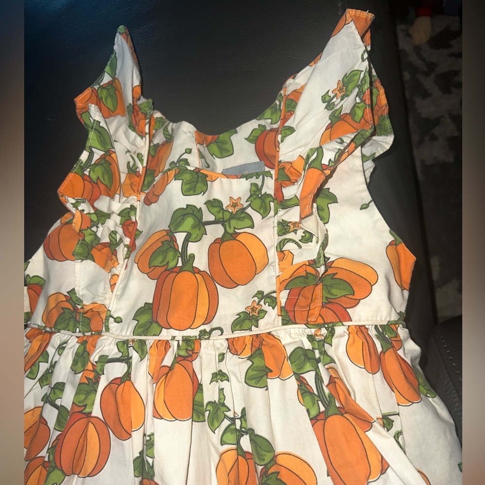 Eleanor Rose Fall Pumpkin Autumn Flutter Sleeve Dress 3/4, excellent condition!